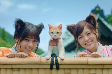 乃木坂46白石麻衣、西野七瀬らが猫耳＆浴衣姿でキュートダンス　「じゃらん」新CM公開