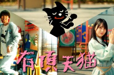 キヨ 「有頂天猫」 Music Video