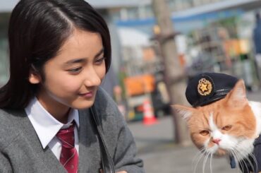 ふてニャン、CMで平祐奈にプロポーズ？警官姿も披露！「ワイモバイル」新CM「ネコのおまわりさん」編