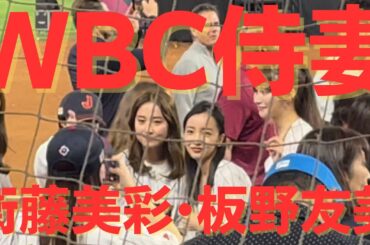 【現地映像】WBC 侍ジャパンの奥様入場 AKB 乃木坂