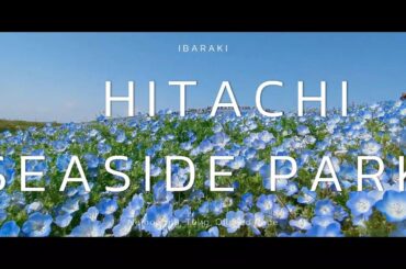 【ひたち海浜公園】PV風動画