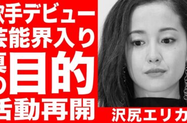 沢尻エリカ来月３月にも活動再開が決定的も女優ではなく歌手としてデビュー！？芸能界に入った「本当の理由」がヤバすぎて一同驚愕…！！