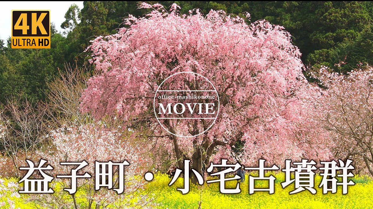 【4K】 益子町 小宅古墳群の桜2021 【4K】 益子町 小宅古墳群の桜2021