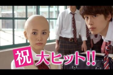 桐谷美玲が坊主頭に変身　映画『ヒロイン失格』TVスポット