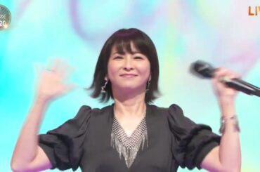 森高千里 - CHISATO MORITAKA - コレクション
