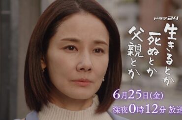 ドラマ２４　生きるとか死ぬとか父親とか　第12話