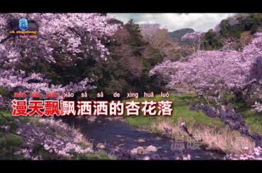胡蜜丹 - 杏花落 - Singalong music video