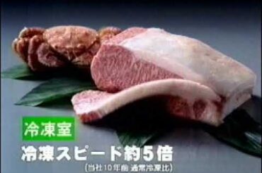 池脇千鶴 National 「トリプル冷却冷蔵庫」 15S