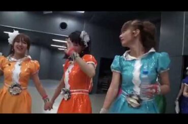 ラストライブのあと　亀井絵里 (2010)