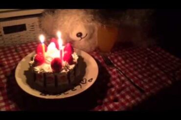 笠原美香の甘〜いシリーズ！？『出世動画』#07「お祝い」