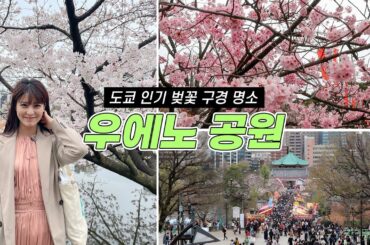 도쿄 벚꽃 명소 우에노 공원🌸 | 도쿄 벚꽃 축제, 하나미, 축제음식