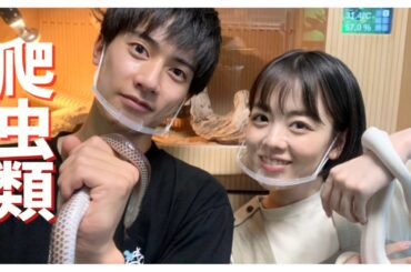 1部屋で150匹以上の生き物を飼育する人の家にお邪魔してきました！