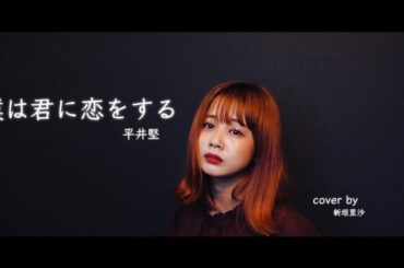 【歌ってみた】僕は君に恋をする／平井堅　【新垣里沙】