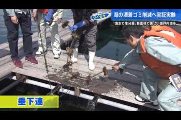 カキ養殖で発生する海洋ゴミ　「分解するパイプ」で問題解決へ　実証実験始まる　広島