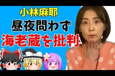 【ゆっくりニュース】小林麻耶の昼夜問わない連続ブログ更新を案じる声…日刊ゲンダイの記事にも瞬時に反応