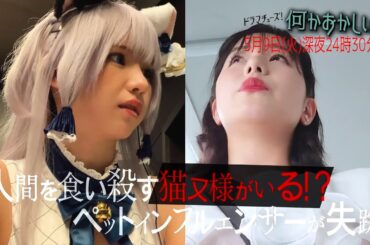 【予告】何かおかしい２　第6話「猫又様」