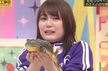 【乃木坂46】生田絵梨花は実生活では強いがカエルが怖い