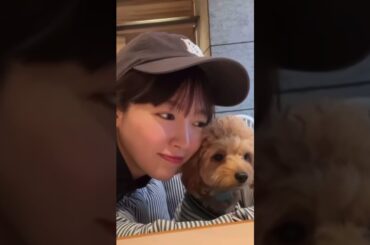 犬好きりったん🐶 #エビ中 #私立恵比寿中学 #中山莉子 #shorts