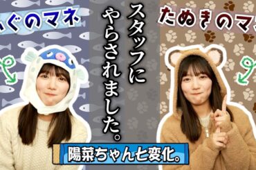 【変装の名人】河田陽菜ちゃん、色んなものかぶるってよ。【河田陽菜・日向坂46】