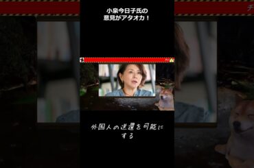 #shorts【入管法】小泉今日子氏の送還より保護を訴える入管法に対する意見がアタオカ！