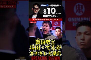 韓国勢と瓜田純士・てるくんガチギレ大暴れ！【ブレイキングダウン8/ブレイキングダウン/BreakingDown/オーディション】#shorts