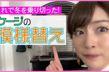 【何気なく新作！】ラピスはこれで冬を乗り越えました♪ 恵理那とラピスの部屋#31（ラストアーカイブ）
