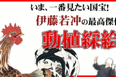 伊藤若冲の動植綵絵 (国宝) 解説 【美術展覧会の予習に】