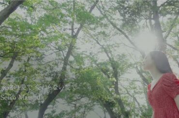 松田聖子 - 「永遠の愛で 変わらない愛で」ミュージックビデオ(Short Ver.)