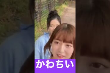 【阪口珠美】「かわちい」を使いこなすたまちゃん