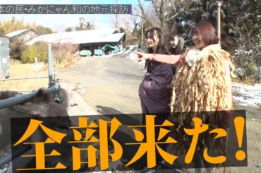 【NMB48】動物と触れ合う【スポキン番外編】