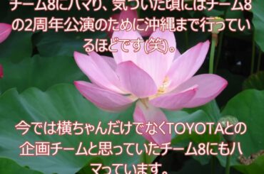 AKB48横山結衣さんへのファンレター