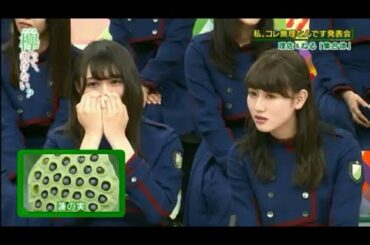 今日のぺーちゃん 【渡辺梨加】