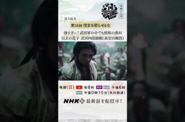 甲斐の武田には誰もかなわない。源三郎(長尾謙杜)が見た武田四郎勝頼(眞栄田郷敦)の強さ。| 大河ドラマ「どうする家康」| NHK | #shorts