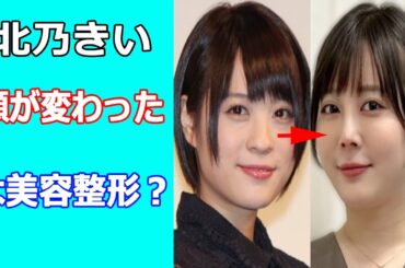 北乃きいの顔が変わったのは美容整形？育休刑事＆勝利の法廷式出演で顔の違和感指摘