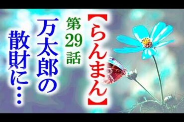 【らんまん】朝ドラ 第29話 竹雄の怒りは万太郎が余りにも…連続テレビ小説第28話感想