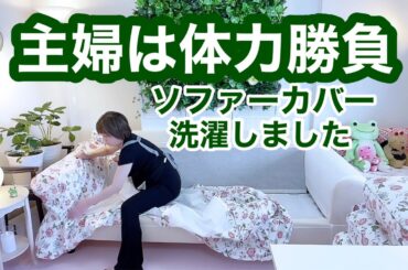 【主婦活日】ソファーカバー洗濯したですぅ。カバーの簡単なかけ方教えてくださーい😆