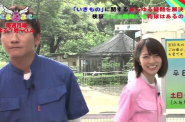 「あにまるまにあ」#13ダイジェスト