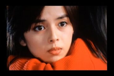 1975→現在(2017) 岡田奈々