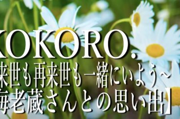 小林麻央さん／KOKORO.～来世も再来世も一緒にいよう～海老蔵さんからは毎日プロポーズをしていただきました。海老蔵さんを支えられるように歩んでいきたい。【海老蔵改め團十郎】