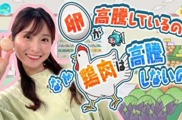 【卵】が高騰してるのに【鶏肉】が高騰しないのはナゼ？／とれたてリサーチ