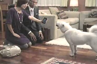 上戸彩SoftBank　CM集その1