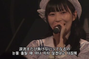 [자막] #ドレミファソラシード - 恋して可愛い花になってく 사랑하며 귀여운 꽃이 되어가