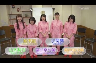 モーニング娘。'19  『クイズ私に聞きました』 カントリー・ガールズ 山木梨沙 森戸知沙希 小関舞 船木結 梁川奈々美