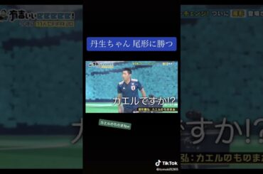 丹生明里　芸人たちを困らせる　日向坂46