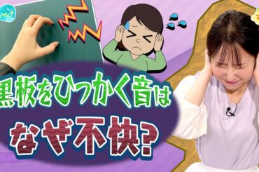 黒板をひっかく音 ナゼ不快に感じる？／とれたてリサーチ