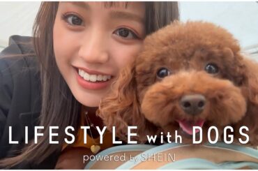 【癒し】愛犬とのお仕事の１日に密着！🐶