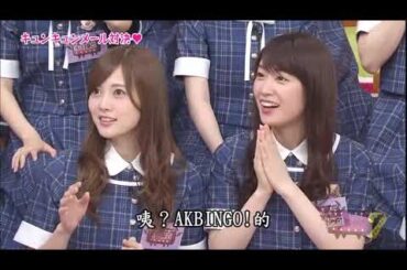 【乃木坂】白石麻衣にファンが付く理由