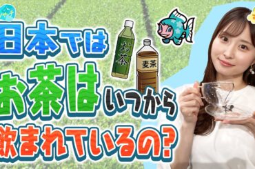 【疑問】お茶はいつ頃から飲まれているの？／とれたてリサーチ