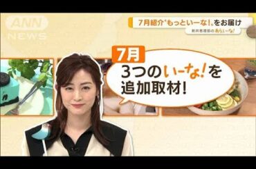 新井恵理那　7月の“おかわり”…進化系かき氷・水くず餅・キャンプ飯【あらいーな】(2022年7月29日)