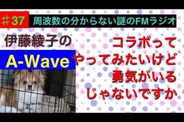 伊藤綾子の「A-wave」37 コラボってやってみたいけど、勇気がいるじゃないですか。